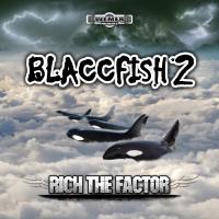 Artwork for Blaccfish 2 by Rich The Factor