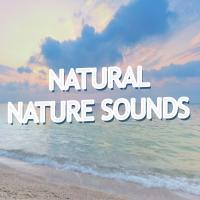 Artwork for Natural Nature Sounds by Sounds of Nature Relaxation