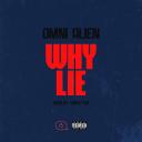 Artwork for Why Lie
