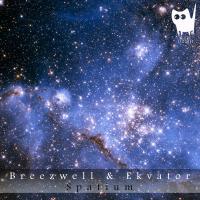 Artwork for Spatium by Breezwell
