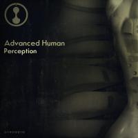 Artwork for Perception by Advanced Human