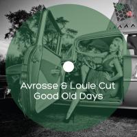 Artwork for Good Old Days by Avrosse