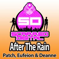 Artwork for After The Rain by Patch