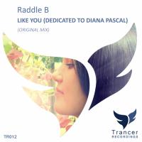 Artwork for Like You (Dedicated To Diana Pascal) by Raddle B