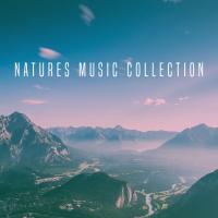 Artwork for Natures Music Collection by Relaxing Spa Music