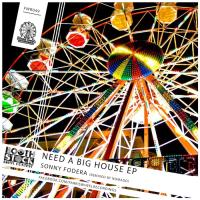 Artwork for Need A Big House EP by Sonny Fodera