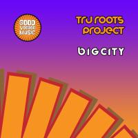 Artwork for Big City by Tru Roots Project