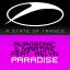 Artwork for Paradise