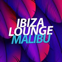 Artwork for Malibu by Ibiza Lounge