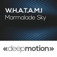 Artwork for Marmalade Sky by W.H.A.T.A.M.I