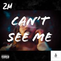 Artwork for Can't See Me by 2m.