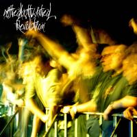 Artwork for Revolution by Gbt