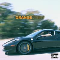 Artwork for Orange Print by Larry June