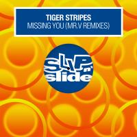 Artwork for Missing You (Mr. V Remixes) by Tiger Stripes