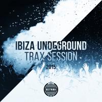 Artwork for Ibiza Undeground Trax Session by Various Artists