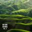 Artwork for Organic Nature Sounds Pt. 6