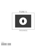 Artwork for Freshness by Funk V.