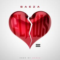 Artwork for Flaws by Baeza