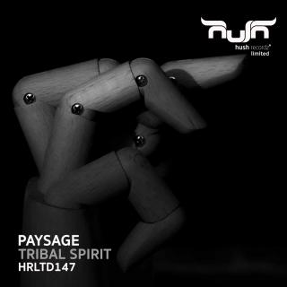 Artwork for Tribal Spirit (Original Mix)