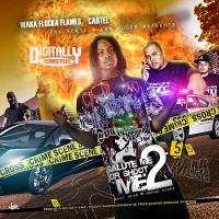 Artwork for Salute Me or Shoot Me 2.5 by Waka Flocka Flame