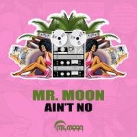 Artwork for Ain't No by Mr. Moon