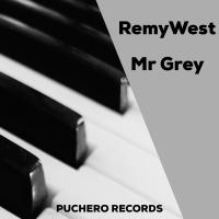 Artwork for Mr Grey by RemyWest