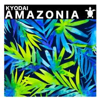 Artwork for Amazonia by Kyodai