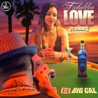 Artwork for Forbidden Love (feat. Linda D) by Big Caz