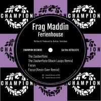 Artwork for Ferienhouse by Frag Maddin