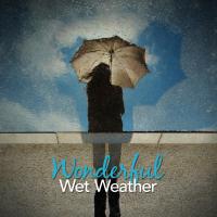 Artwork for Wonderful Wet Weather by Thunderstorms