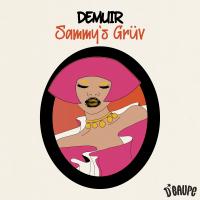 Artwork for Sammy's Grüv by Demuir