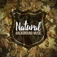 Artwork for Natural Background Music by Nature Sound Collection