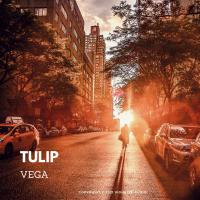 Artwork for Tulip by Vega