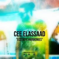 Artwork for Ecstatic Harmonies (Spiritual Mix) by Cee ElAssaad