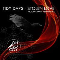 Artwork for Stolen Love by Tidy Daps