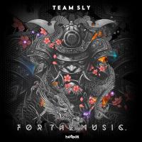 Artwork for For The Music by Team Sly