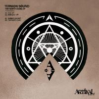 Artwork for Far North Dubs EP by Ternion Sound