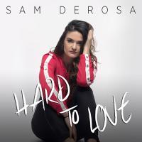 Artwork for Hard to Love by Sam DeRosa