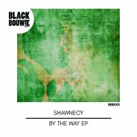 Artwork for By The Way EP by Shawnecy