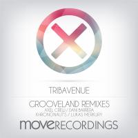 Artwork for Grooveland Remixes by Tribavenue