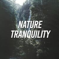 Artwork for Nature Tranquility by Nature Sounds Nature Music