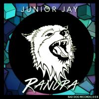 Artwork for Ranura by Junior Jay