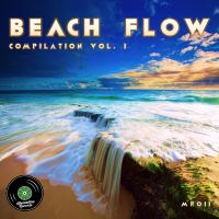 Artwork for Beach Flow 1 by Various Artists