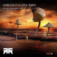 Artwork for Too Tired for Mushrooms by Chris Coles