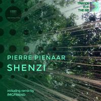 Artwork for Shenzi by Pierre Pienaar