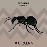 Artwork for Pumping It by Techneck