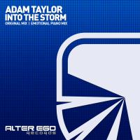 Artwork for Into The Storm by Adam Taylor