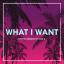 Artwork for What I Want (Radio Edit)