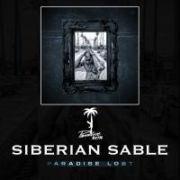 Artwork for Siberian Sable by Paradise Beta