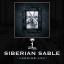 Artwork for Siberian Sable
